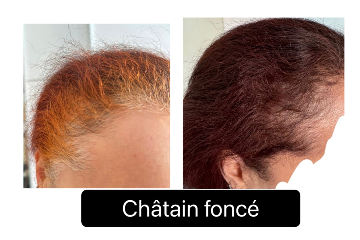 Coloration végétale CHATAIN FONCE - Produit cosmétique - Sachet de 100 gr