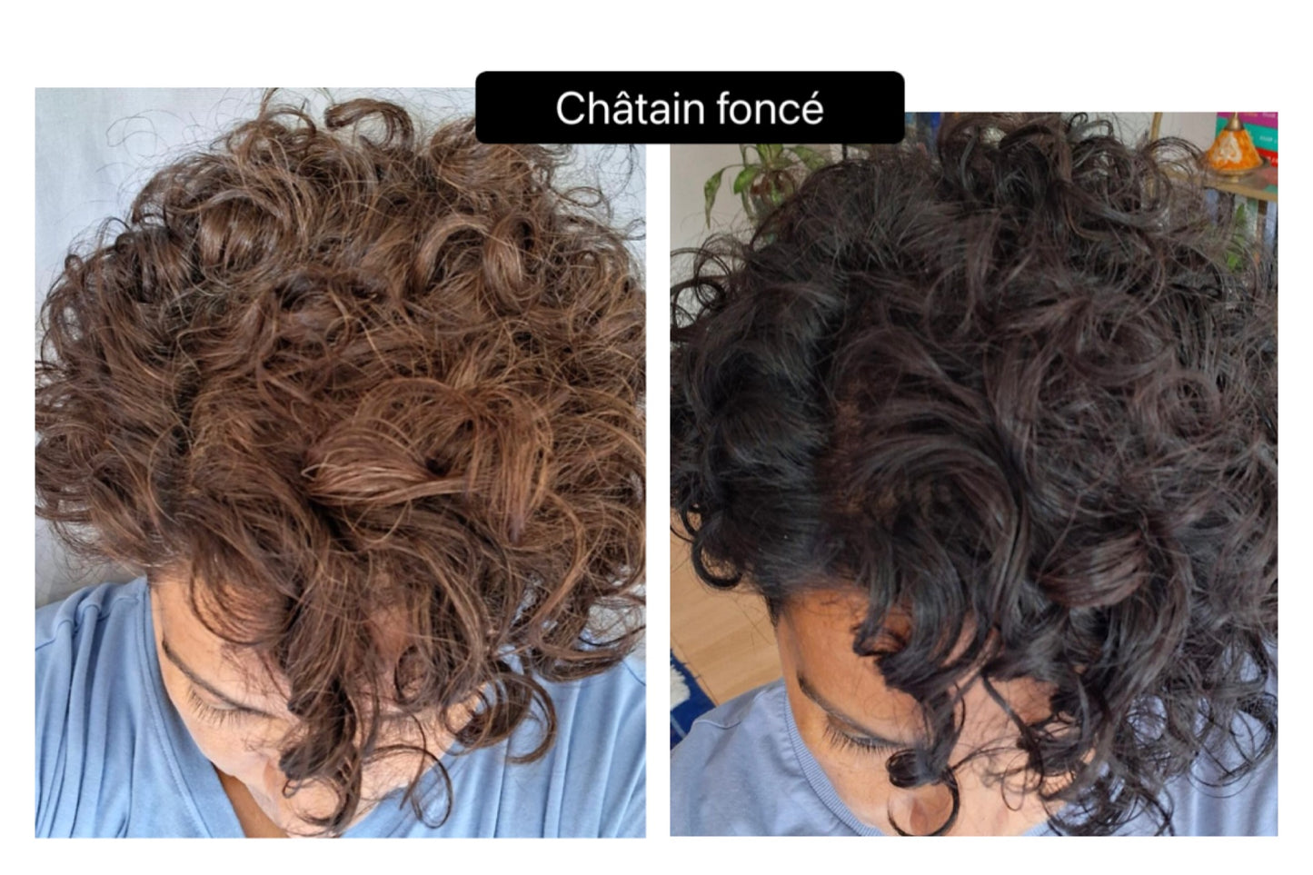 Coloration végétale CHATAIN FONCE - Produit cosmétique - Sachet de 100 gr
