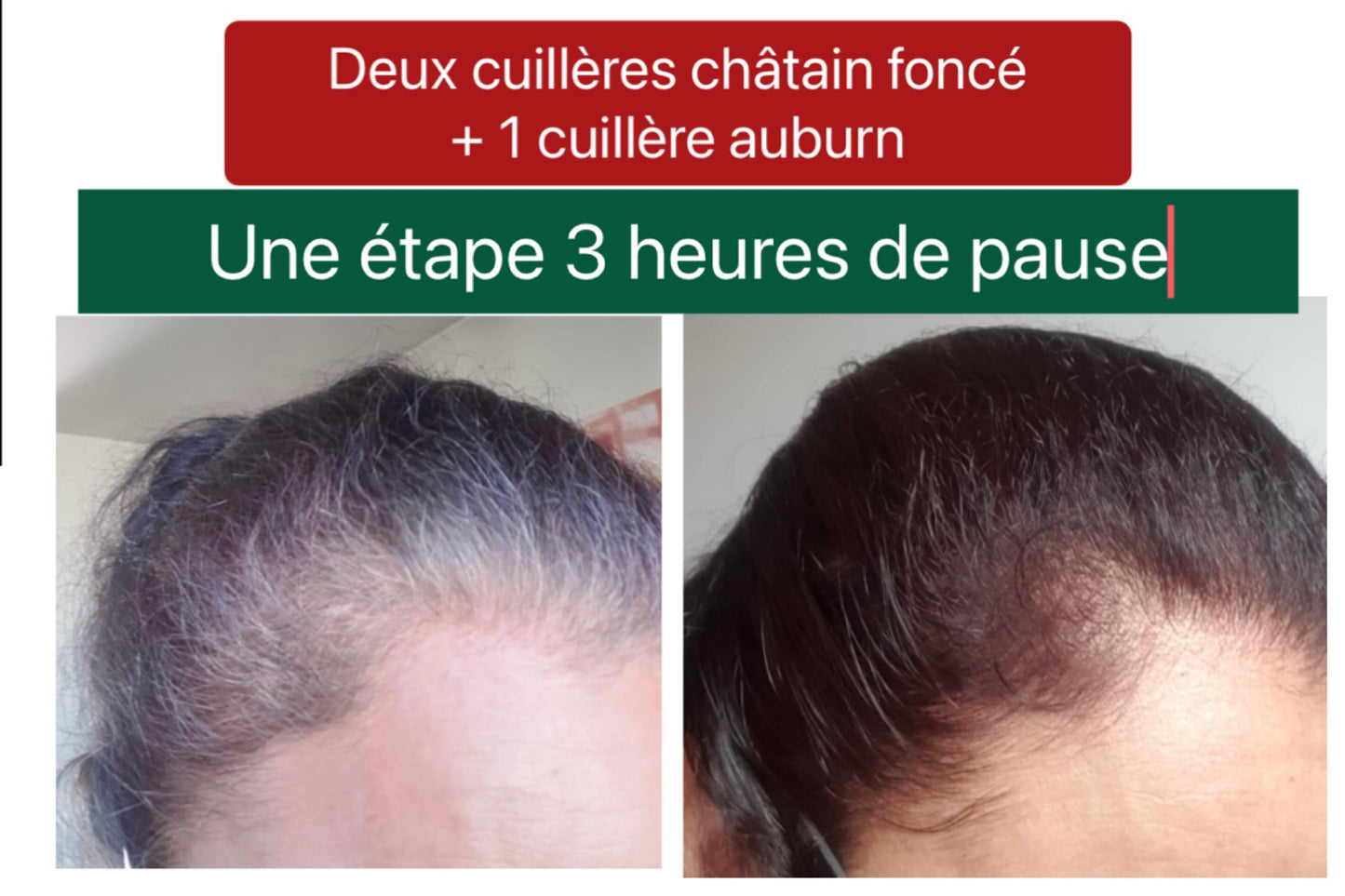 Coloration végétale AUBURN - Produit cosmétique - Sachet de 100 gr