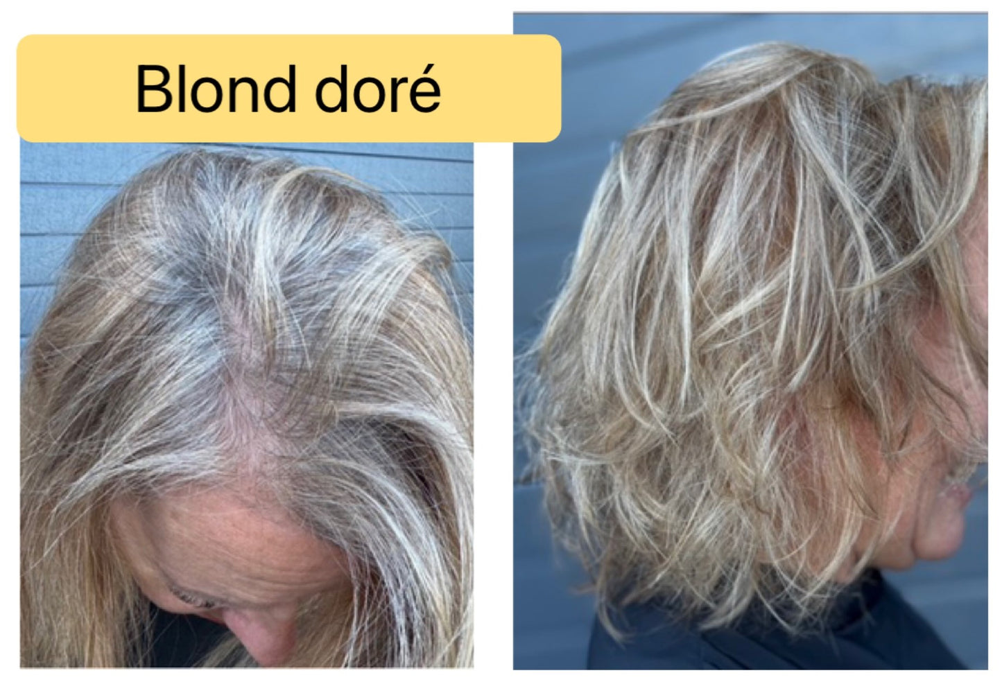 Coloration végétale BLOND DORE- Produit cosmétique - Sachet de 100 gr