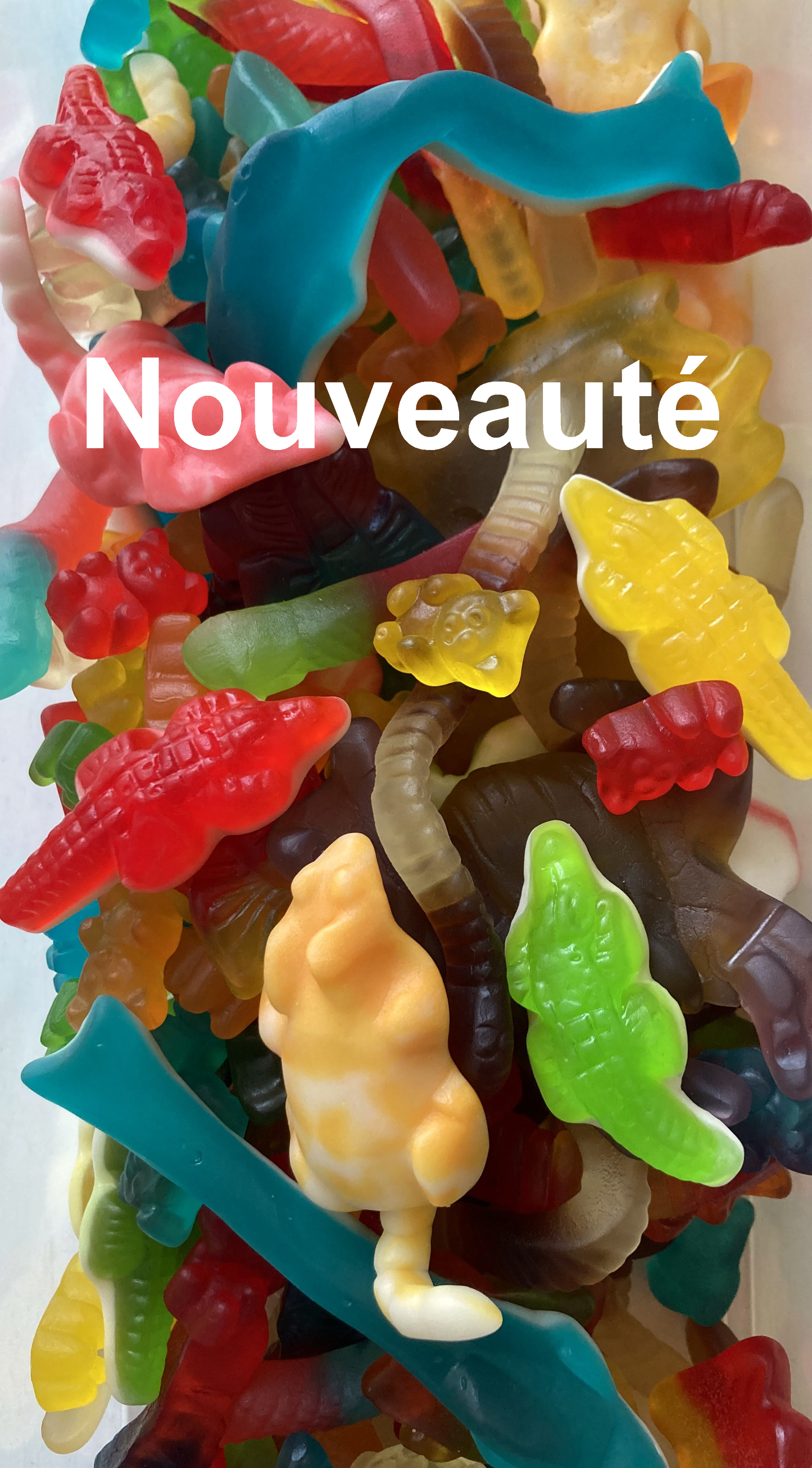 Réf B6 90 – Box 6 - Bonbon en forme d’Animaux, Bonbon Halal sachet de 1 kg