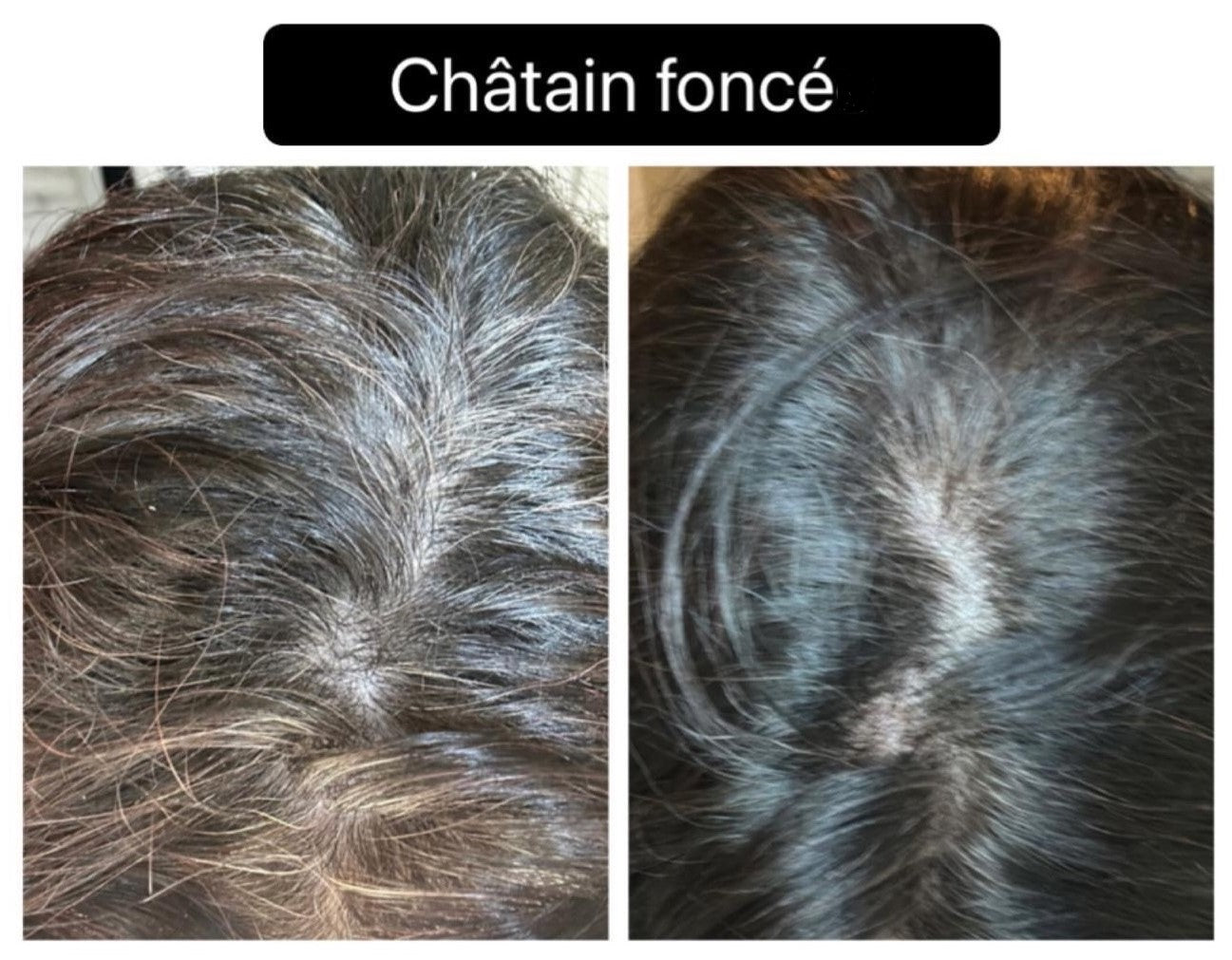 Coloration végétale CHATAIN FONCE - Produit cosmétique - Sachet de 100 gr
