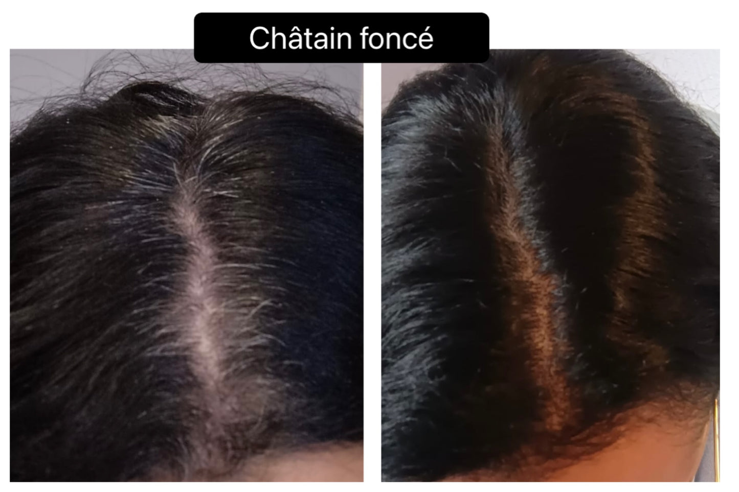 Coloration végétale CHATAIN FONCE - Produit cosmétique - Sachet de 100 gr