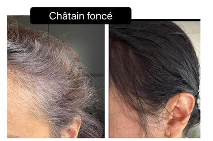Coloration végétale CHATAIN FONCE - Produit cosmétique - Sachet de 100 gr