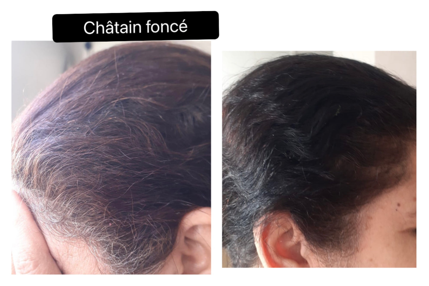 Coloration végétale CHATAIN FONCE - Produit cosmétique - Sachet de 100 gr