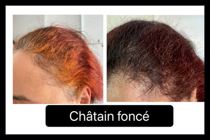 Coloration végétale CHATAIN FONCE - Produit cosmétique - Sachet de 100 gr