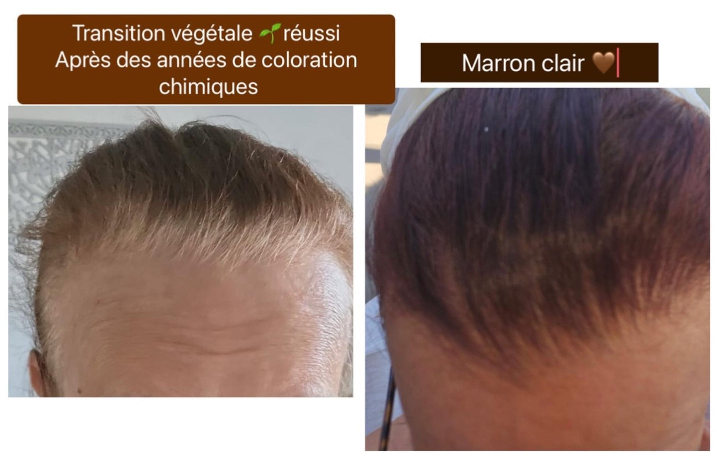 Coloration végétale MARRON CLAIR- Produit cosmétique - Sachet de 100 gr La